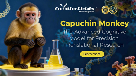 그린란드 대 실험용 원숭이 가격